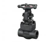 鍛鋼閘閥的優(yōu)缺點(diǎn)都有哪些呢？